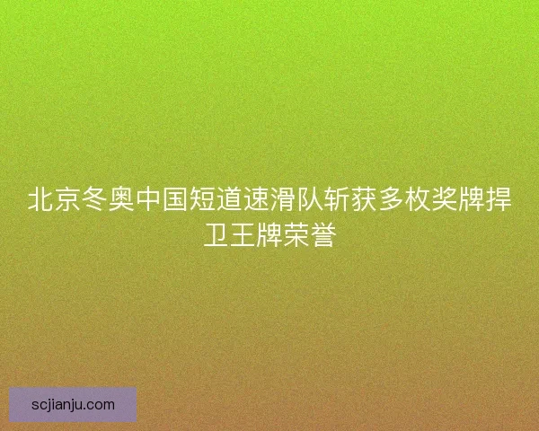 北京冬奥中国短道速滑队斩获多枚奖牌捍卫王牌荣誉