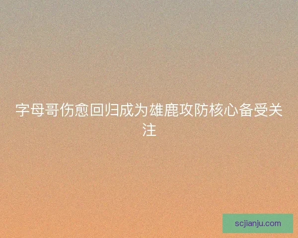 字母哥伤愈回归成为雄鹿攻防核心备受关注